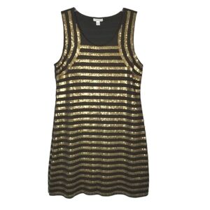 Garnet Hill Pima Cotton Sequin Mini Dress Sleeveless Sz Large Brown Gold Stripes